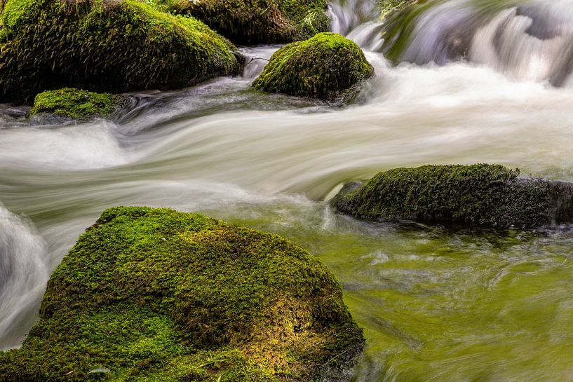 Gebirgsbach-Wasserfall im Wald von Animaflora PicsStock