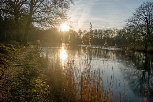 laagstaande zon bij Biltse meertje