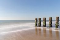 A salty sigh on the beach in Zeeland by Claire van Dun thumbnail