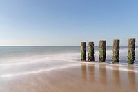 A salty sigh on the beach in Zeeland