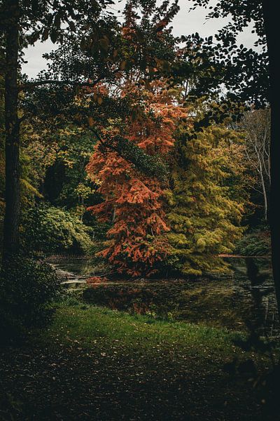 Autumn by Sebastian Stef