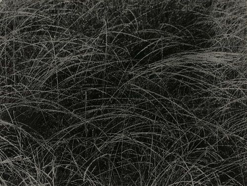 Equivalent (1927) van Alfred Stieglitz