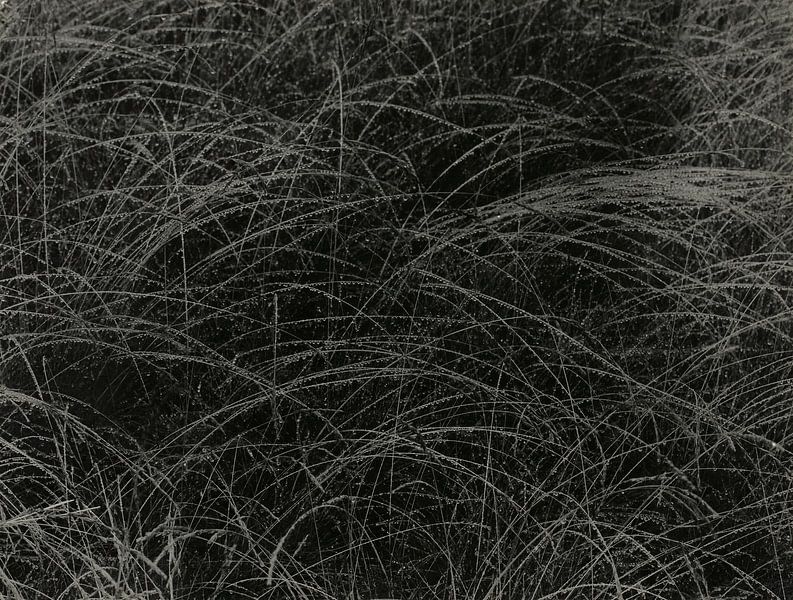 Equivalent (1927) van Alfred Stieglitz van Peter Balan