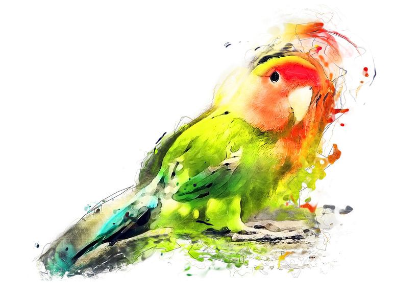 Lovebird bird watercolor art #Lovebird by JBJart Justyna Jaszke