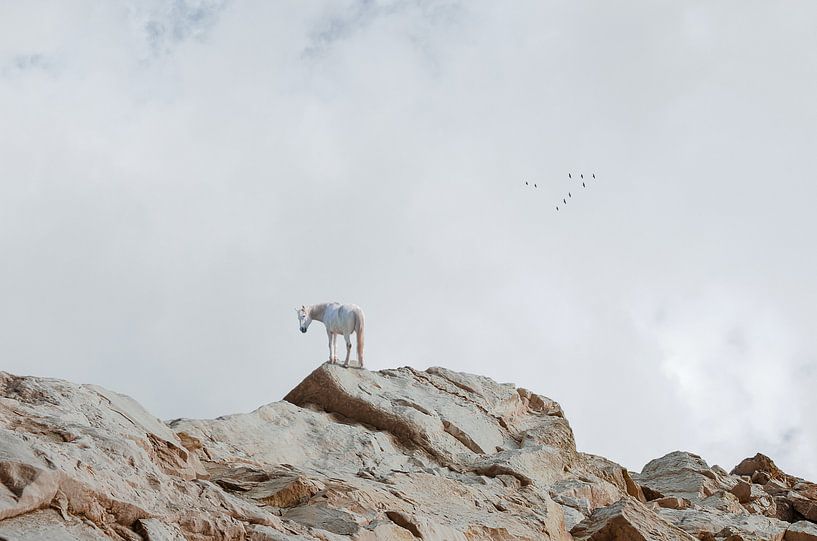 Cheval sur les rochers par Hannie Kassenaar