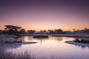 Vor Sonnenaufgang, Rob Christiaans