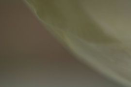 I reach out to you by Wendy Schellekens