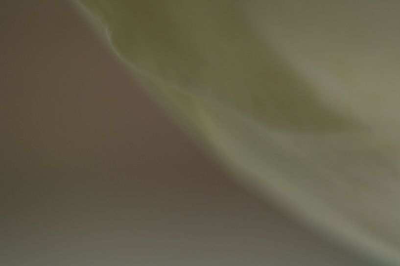 Je vous tends la main par Wendy Schellekens
