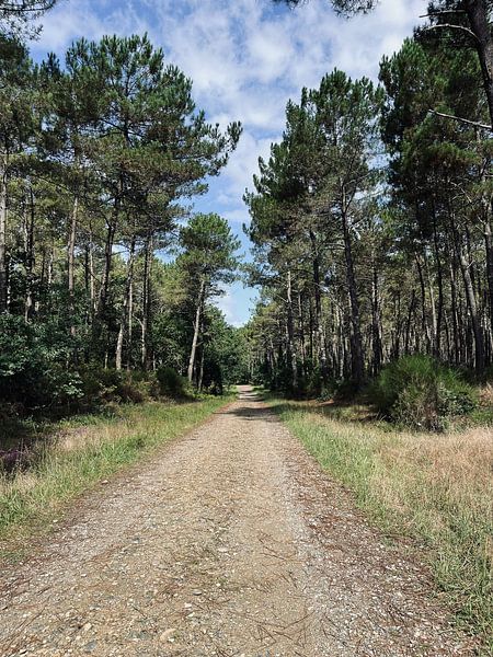 Path to peace by Jaime Teiwes