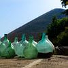 Tropisch Glas van Anouk Peeters