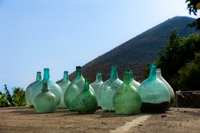 Tropical Glass by Anouk Peeters