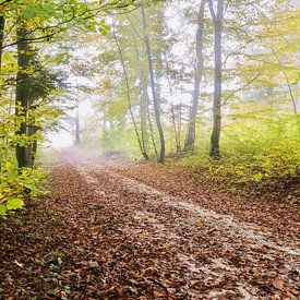 Der sanfte Abschied des Jahres von Walter G. Allgöwer
