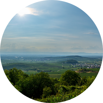 Duitsland, XXL panorama van wijngaardlandschap in de regio Kaiserstuhl van adventure-photos