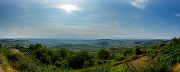Duitsland, XXL panorama van wijngaardlandschap in de regio Kaiserstuhl van Simon Dux