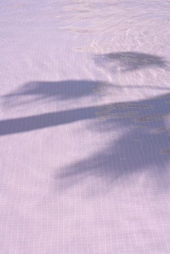 Palmier à l'ombre d'une piscine en mosaïque rose sur Jenine Blanchemanche