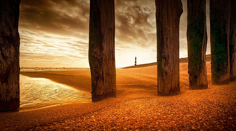 plage un matin d'hiver par patrick verweire