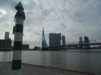 Rotterdam