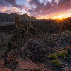 Nationaal Park El Teide (Tenerife) van Niko Kersting