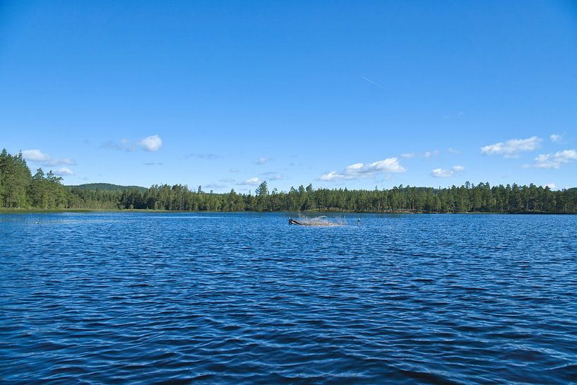 Lake in Sweden with white clouds, blue water and trees on the shore by Martin Köbsch