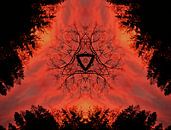 Fire sky Symmetry of nature by artpictures.de thumbnail