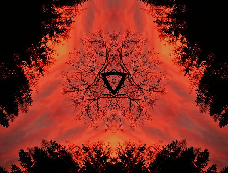 Fire sky Symmetry of nature by artpictures.de