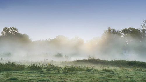 Mist in het Markdal ,Breda