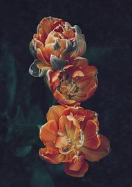 Daleen by Marina de Wit