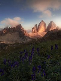 3 Zinnen im Rampenlicht von Thomas Weber BGL