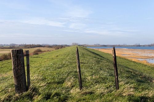 De dijk langs de Grevelingen