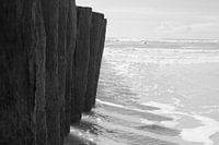 Berck beach