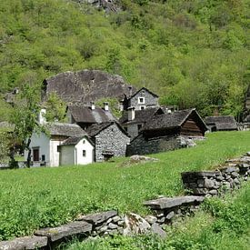 Sabbione im Val Bavona,Tessin von Peter Eckert
