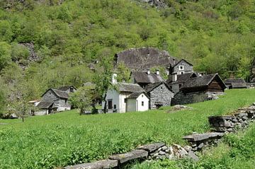 Sabbione in Val Bavona, Ticino