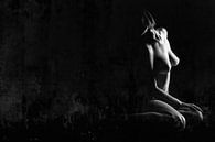 Nackte Frau im Dunkeln von Art By Dominic Miniaturansicht