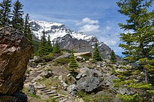 LAKE LOUISE AND MORAINE LAKE
