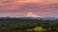 Sonnenaufgang Mount Hood, Oregon von Henk Meijer Photography Miniaturansicht