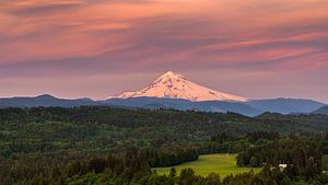 Sonnenaufgang Mount Hood, Oregon