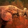 Spelende olifanten met verstrengelde slurven van Jille Zuidema