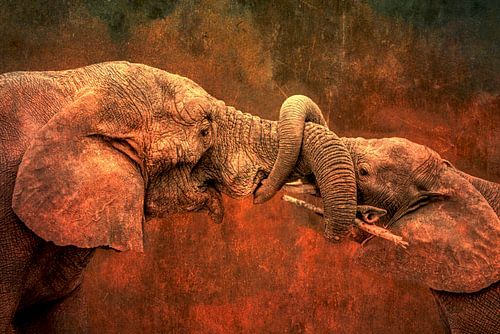 Spelende olifanten met verstrengelde slurven