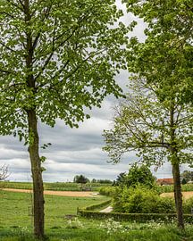 Ranch (B) von Martine Dignef