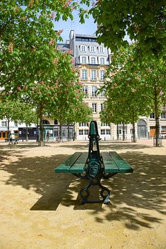 Parijs Place Dauphine van Ingrid de Vos - Boom