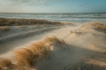 Dünen, Strand und Meer