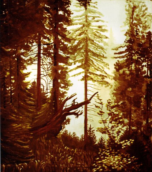Im bayerischen Wald von Johannes Rohen