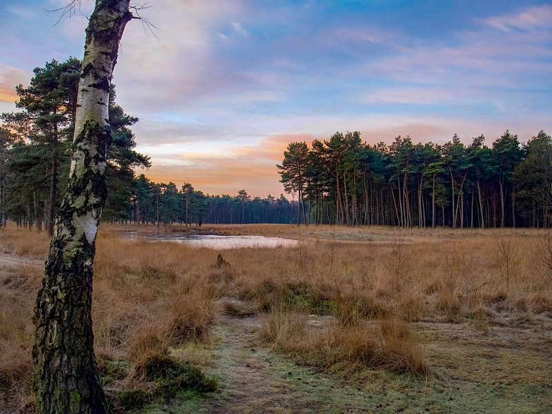 painting by snippefotografie