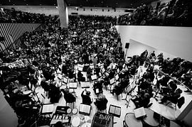 L'orchestre sur Rob van Dam