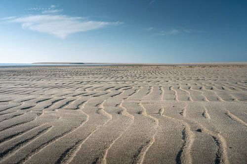 What the sea leaves behind