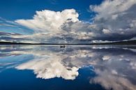 Zweden, Lakenesjön van Fonger de Vlas thumbnail