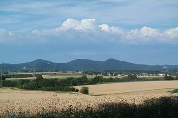 Arable farming in North Rhine-Westphalia
