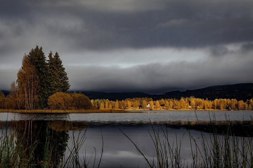 Zweden in de herfst van Thomas Heins