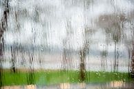 Regen tegen het raam von Mariska Hanegraaf Miniaturansicht