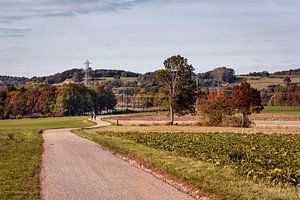 Ransdalerveld @ Fromberg